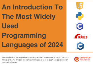 The Most Widely Used Programming Languages of 2024